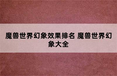 魔兽世界幻象效果排名 魔兽世界幻象大全